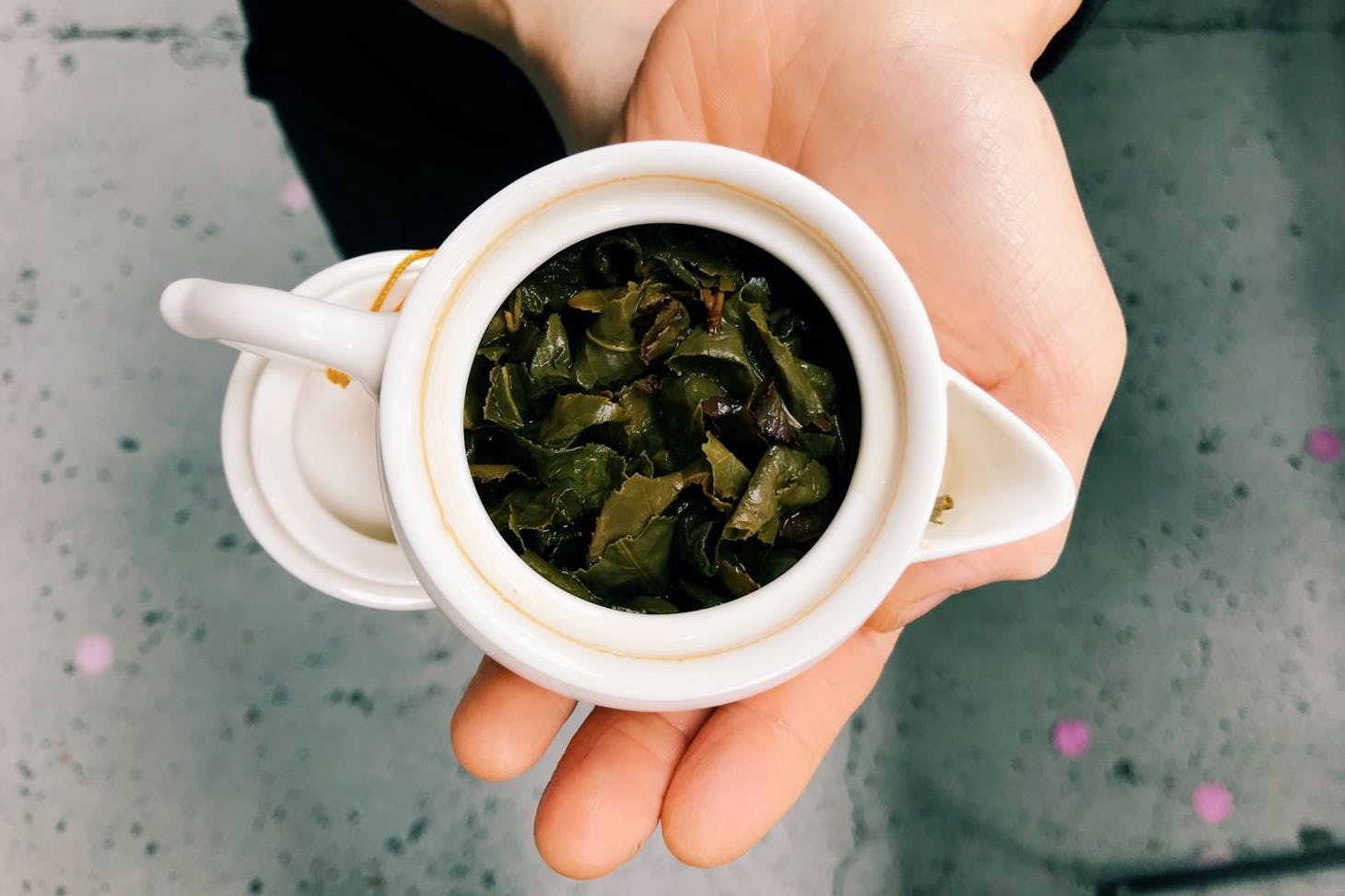 A hands holds a small teapot with unfurling leaves inside.